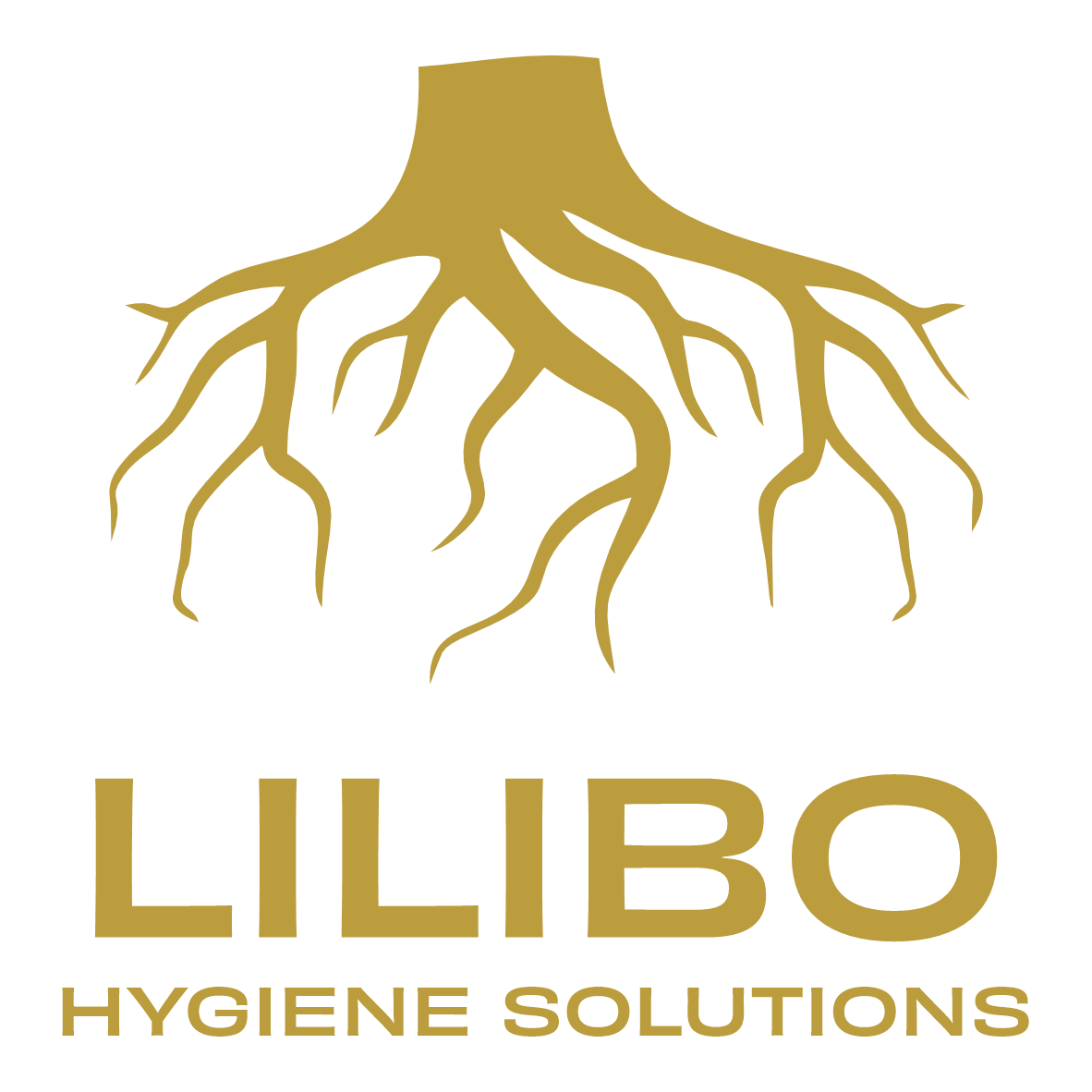 Lilibo Hygiene Solutions